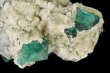 Aragonite Encrusted Fluorite Crystal Cluster - Rogerley Mine #143042-1